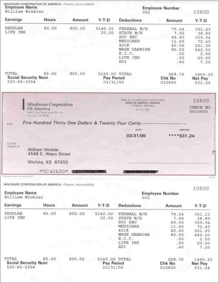 Adp Pay Stub Template Download Adp Pay Stub Template Download