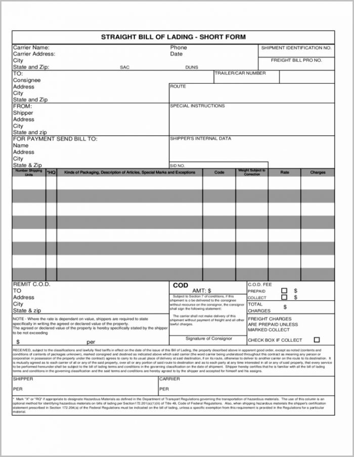 Bill Of Lading Format Pdf Bill Of Lading Format Pdf