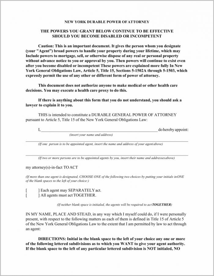 Durable Power Of Attorney Form Ny Durable Power Of Attorney Form Ny