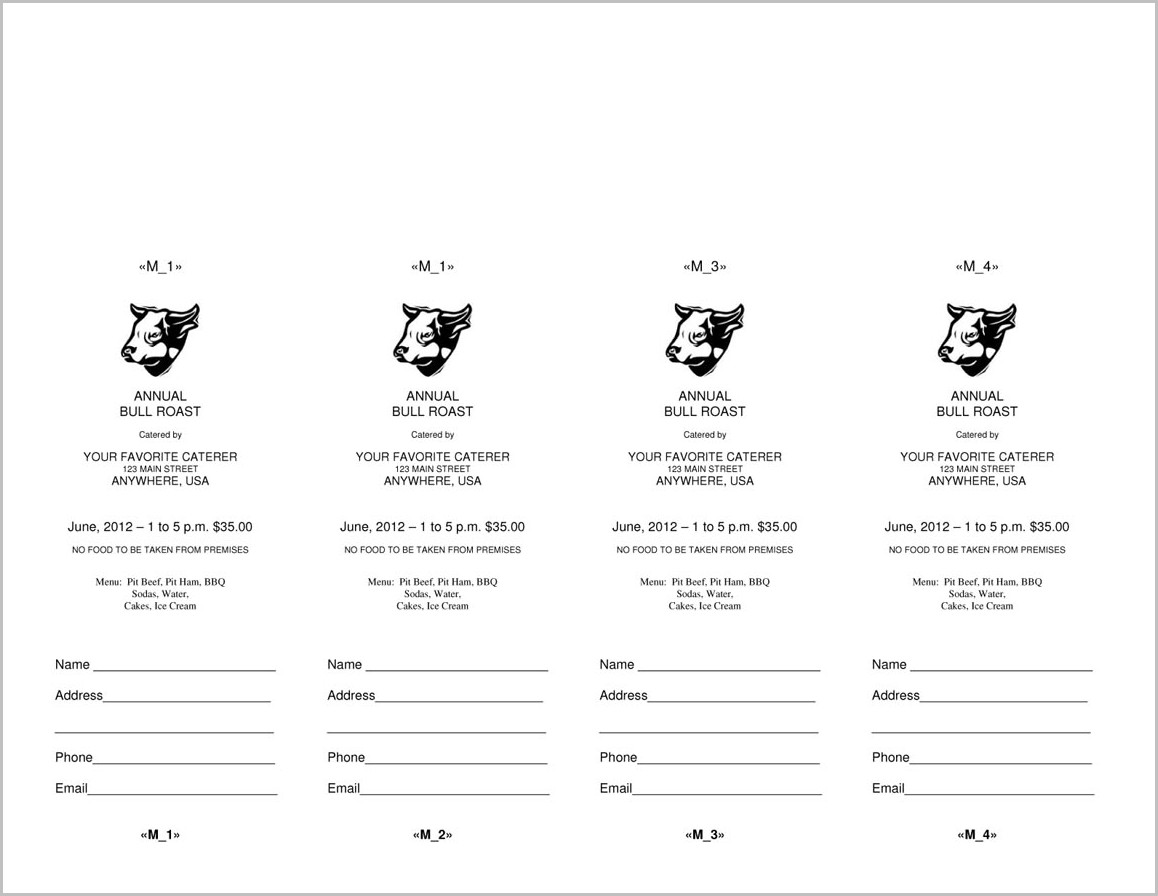 microsoft tickets template magdalene project org microsoft word raffle ticket template