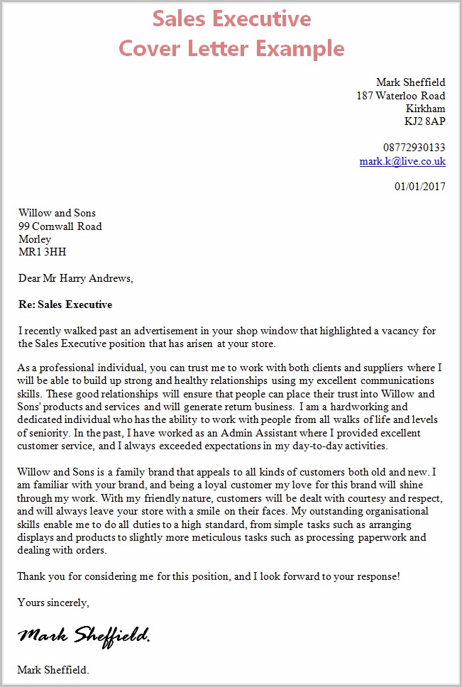 Sample Cover Letter For Resume Sales Executive Sample Cover Letter For Resume Sales Executive