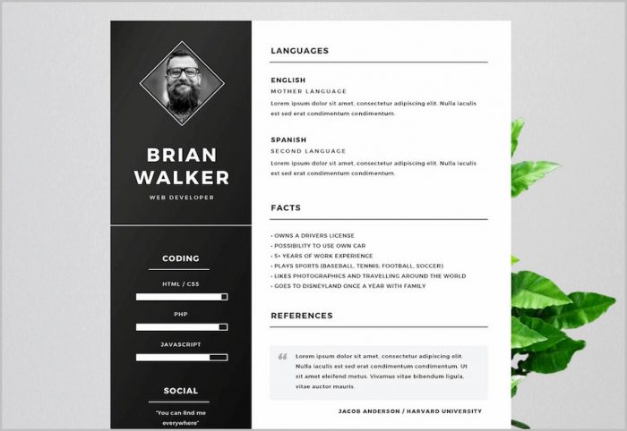 Awesome Resume Templates For Word Awesome Resume Templates For Word