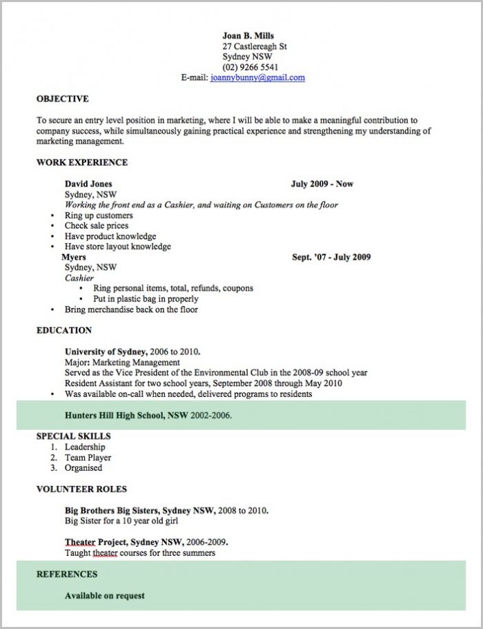 Basic Resume Template Word Basic Resume Template Word