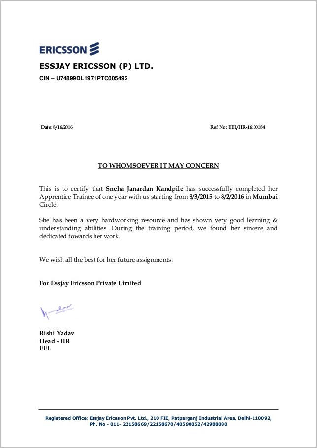 Cover Letter For Carpenter Helper Cover Letter For Carpenter Helper