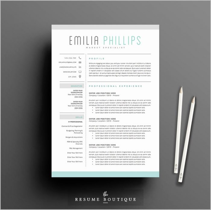 Cute Resume Templates For Word Cute Resume Templates For Word