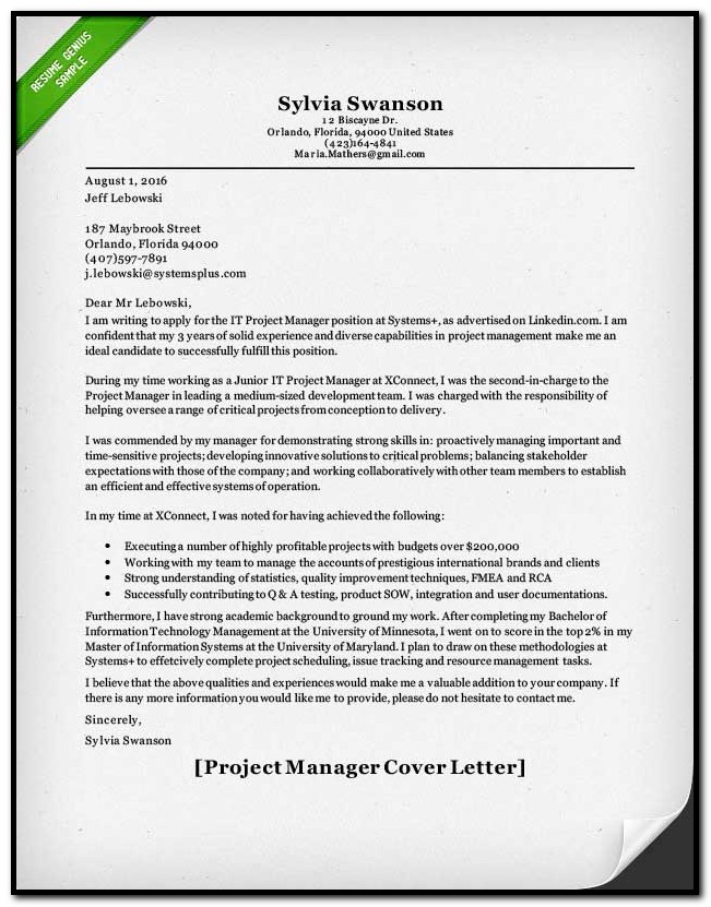 Examples Of Cover Letters For Resumes Examples Of Cover Letters For Resumes