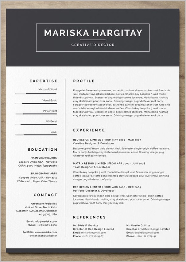 Free Resume Template Creative Free Resume Template Creative