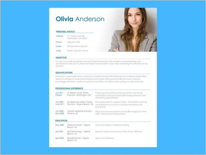 free resume template with picture insert templates