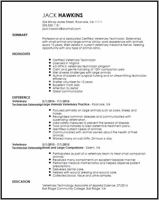 Free Resume Templates With Volunteer Experience Free Resume Templates With Volunteer Experience