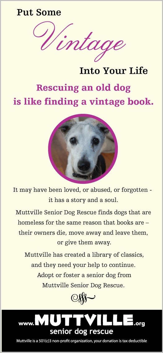 How To Start A 501c3 Dog Rescue How To Start A 501c3 Dog Rescue