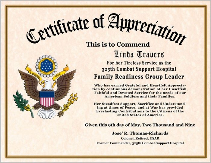 Military Award Certificate Template Military Award Certificate Template