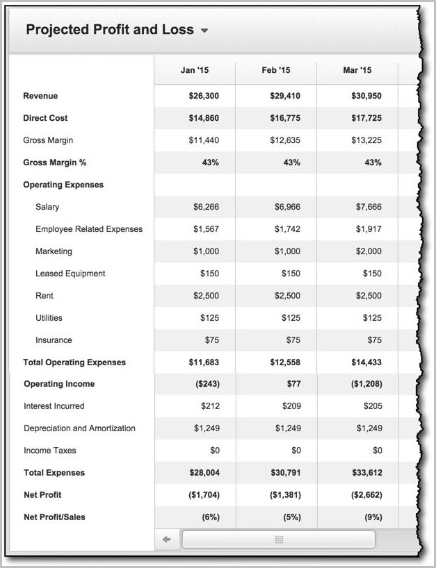 Monthly Profit And Loss Form Monthly Profit And Loss Form