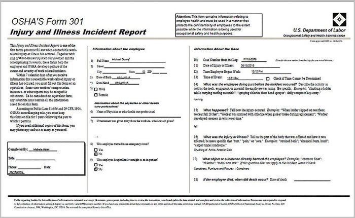 Osha 300 And 300a Printable Form Osha 300 And 300a Printable Form
