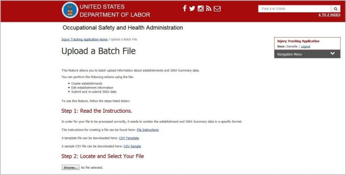 Osha Form 300a Excel Format Osha Form 300a Excel Format