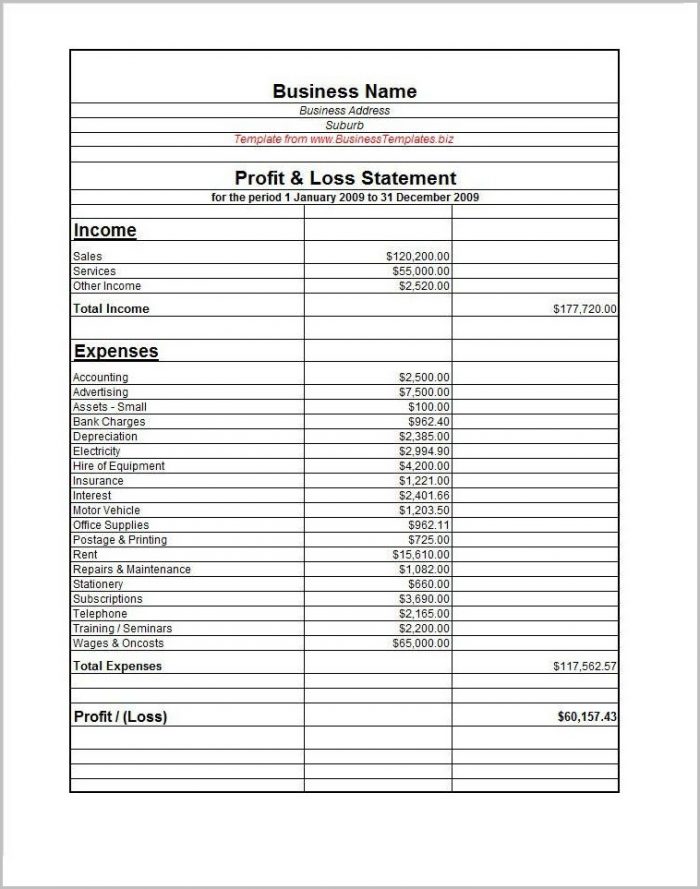 profit and loss form