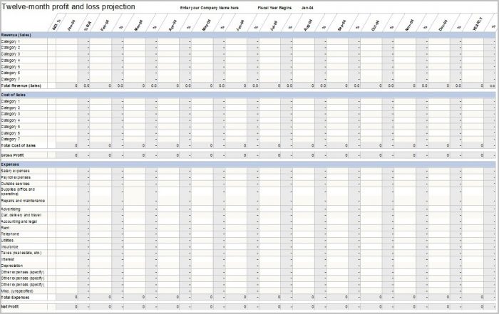 Profit Loss Forecast Template Profit Loss Forecast Template