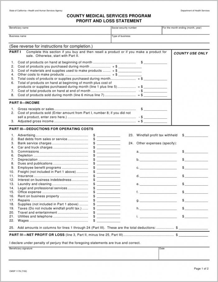Profit Loss Statement Form Pdf Profit Loss Statement Form Pdf