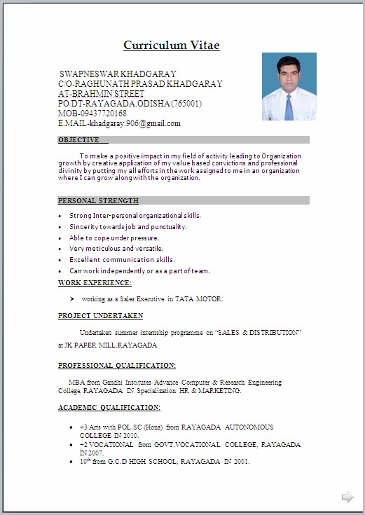 Resume Templates Word For Freshers Resume Templates Word For Freshers