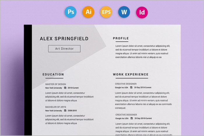 Unique Resume Templates For Microsoft Word Unique Resume Templates For Microsoft Word