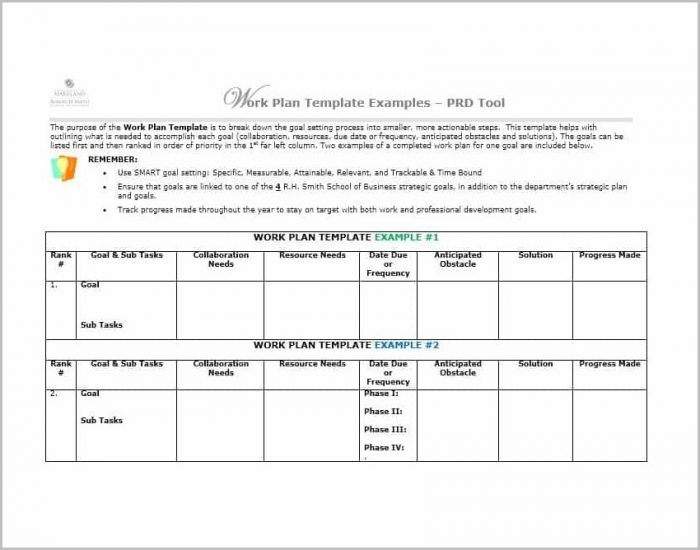 Work Plan Template Microsoft Office Templates 1 Resume Examples