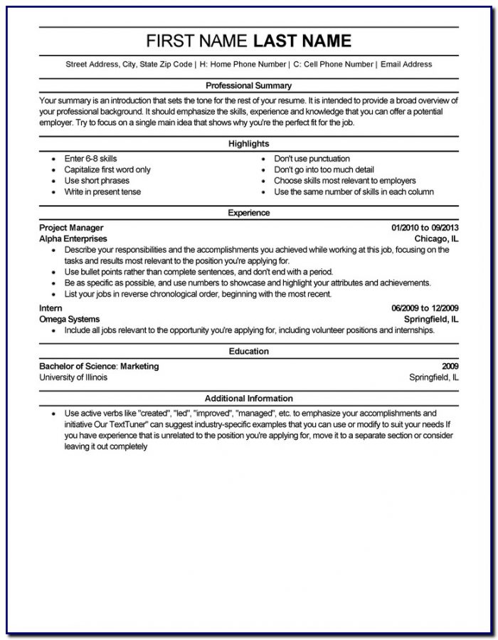 Best Professional Resume Template Best Professional Resume Template