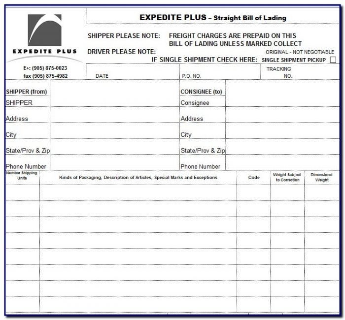 Bill Of Lading Form In Excel Bill Of Lading Form In Excel
