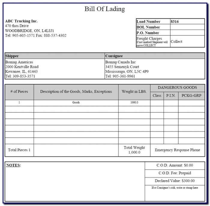 Bill Of Lading Template Free Bill Of Lading Template Free
