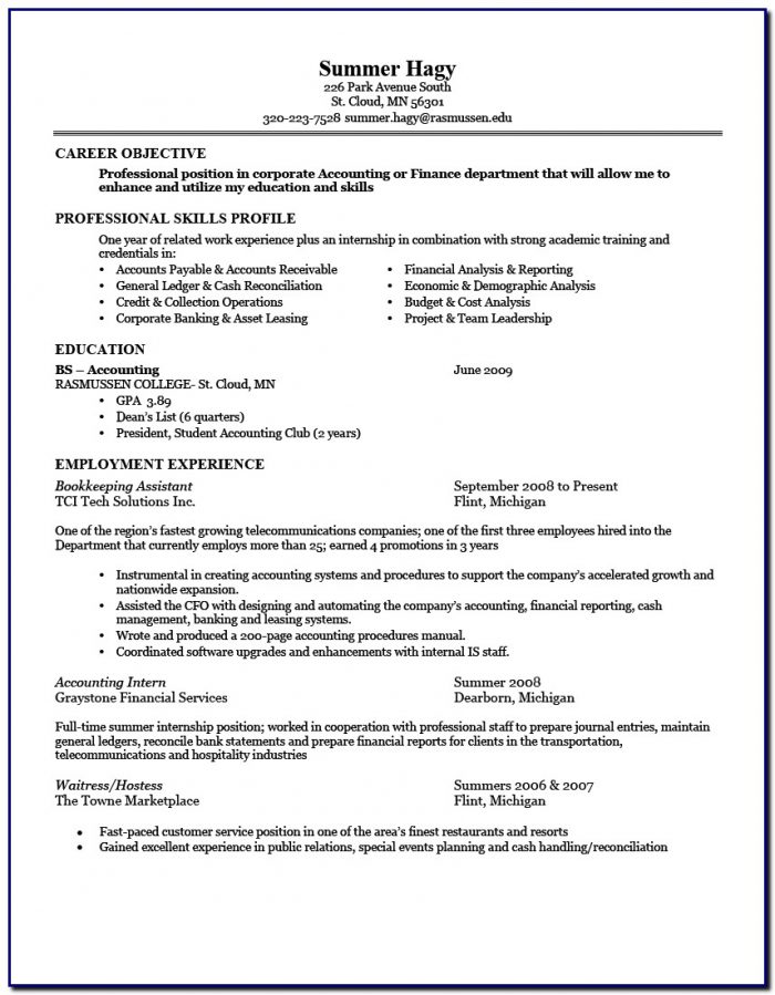 Good Professional Resume Template Good Professional Resume Template