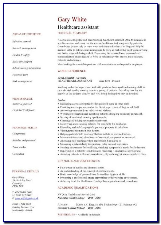 Health Professional Resume Template Health Professional Resume Template