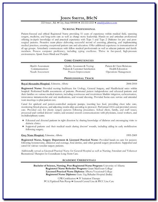 Highly Professional Resume Template Highly Professional Resume Template