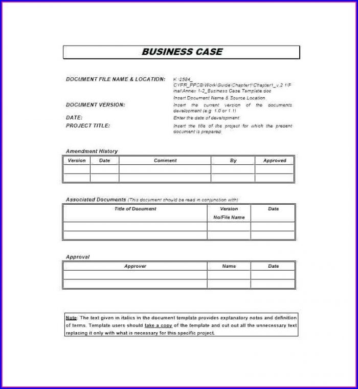 New Product Business Case Template Ppt New Product Business Case Template Ppt