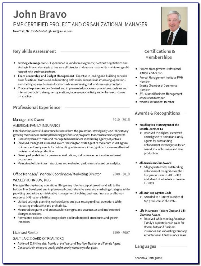 New Professional Resume Template New Professional Resume Template