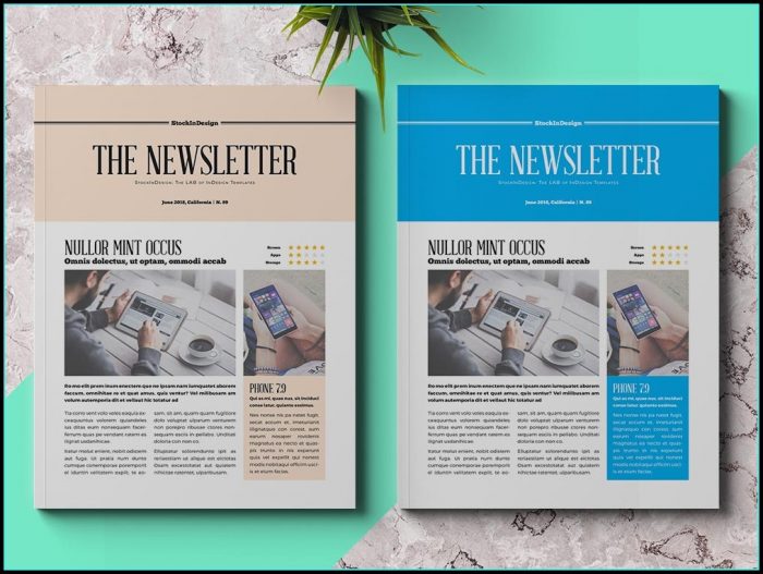 Newsletter Template Indesign Newsletter Template Indesign