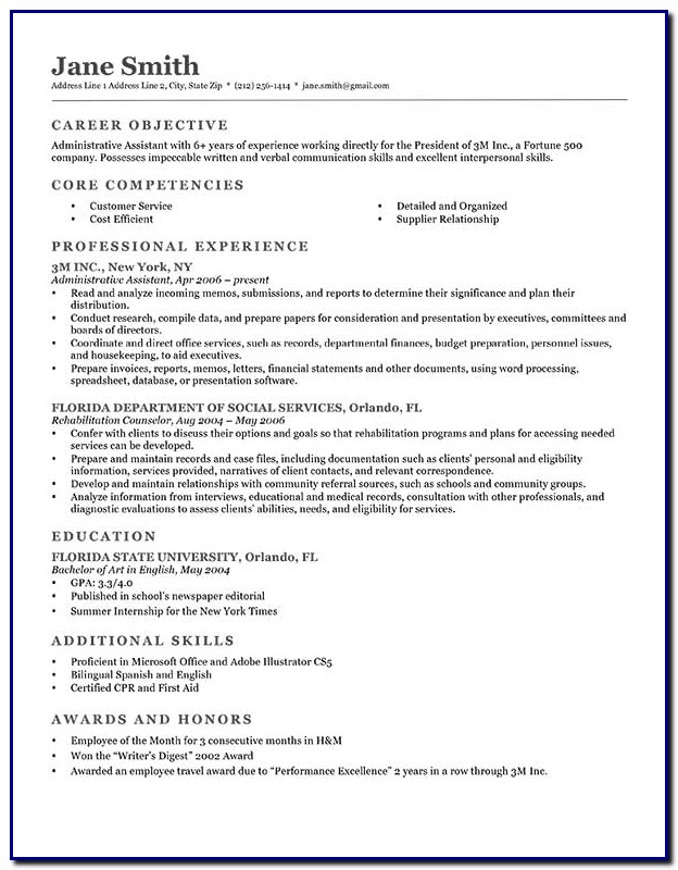Nice Professional Resume Template Nice Professional Resume Template