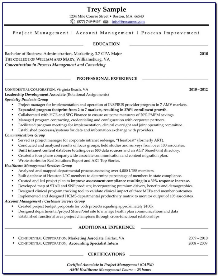 Professional 1 Resume Template Professional 1 Resume Template