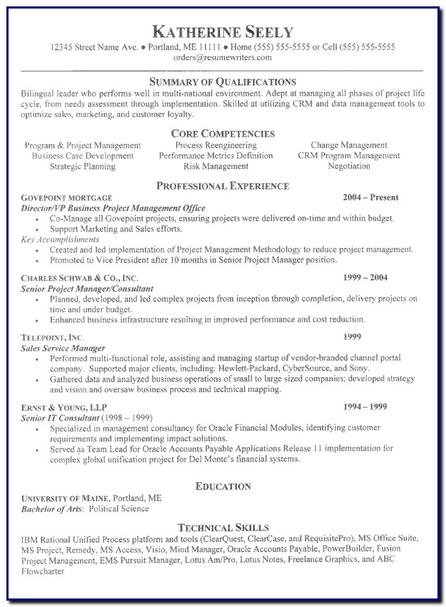 Professional Business Resume Template Professional Business Resume Template