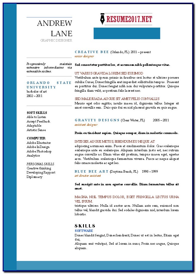 Professional Cv Template 2017 Professional Cv Template 2017