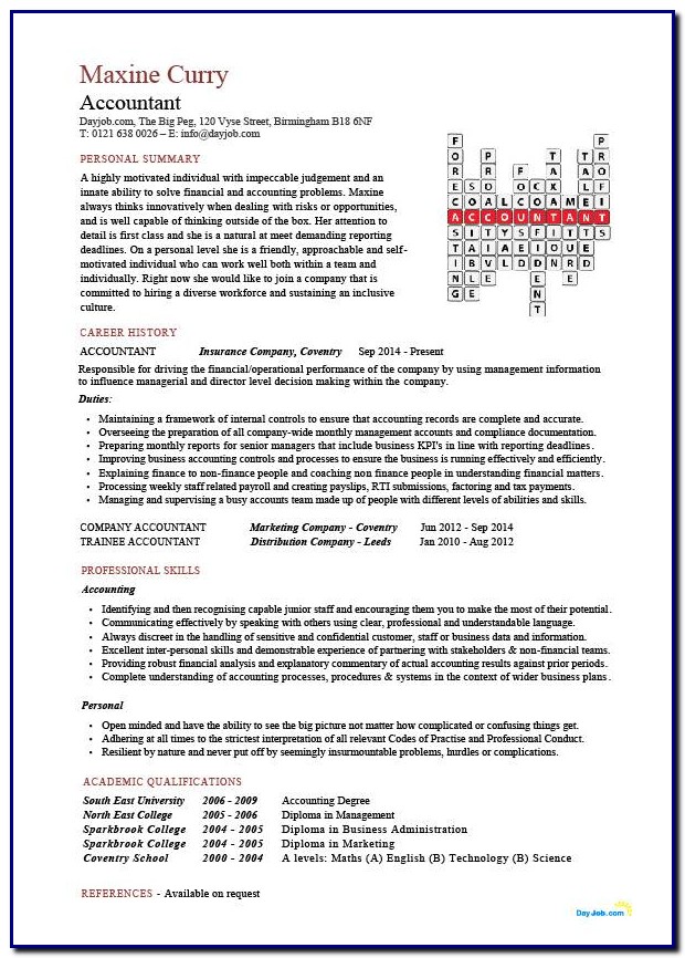 Professional Cv Template Accountant Professional Cv Template Accountant