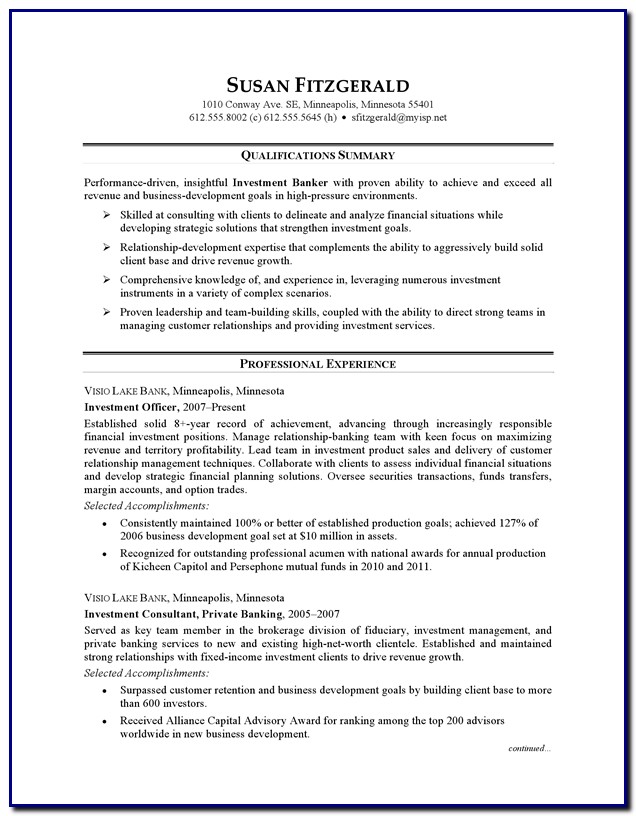 Professional Cv Template Banking Professional Cv Template Banking