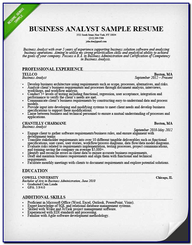Professional Cv Template Business Analyst Professional Cv Template Business Analyst