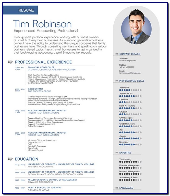 Professional Cv Template Doc Professional Cv Template Doc