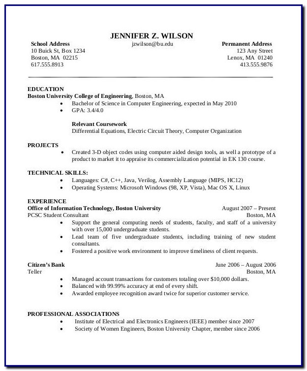 Professional Cv Template Download Pdf Professional Cv Template Download Pdf