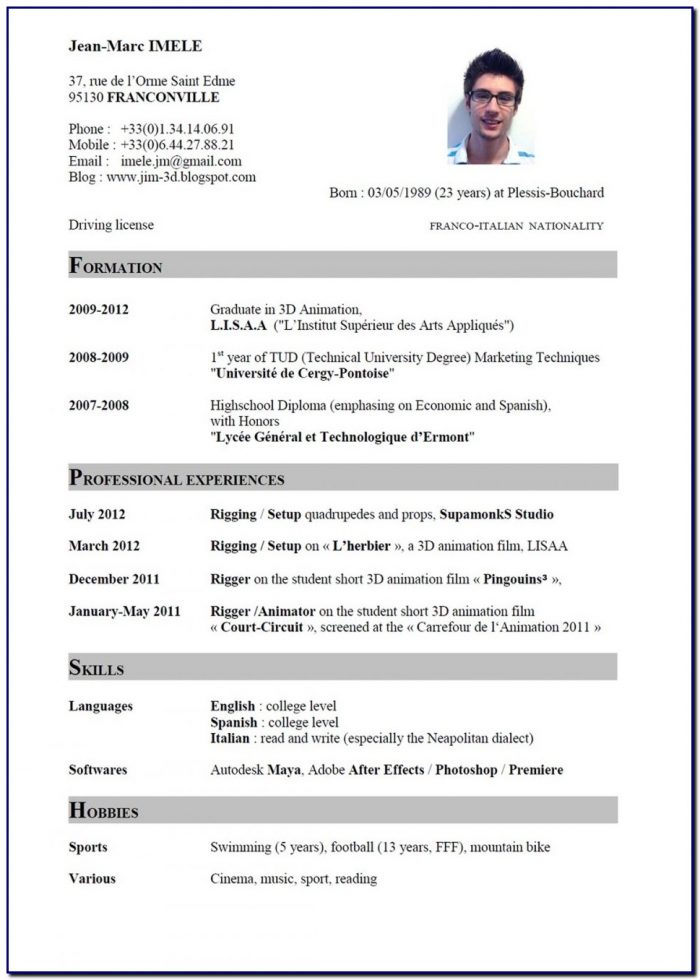 Professional Cv Template English Professional Cv Template English