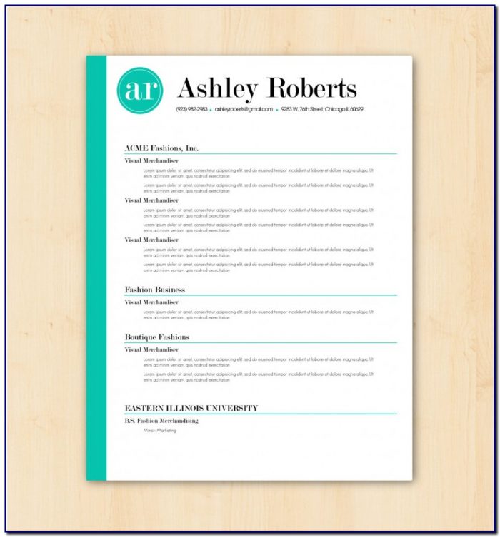 Professional Cv Template Etsy Professional Cv Template Etsy
