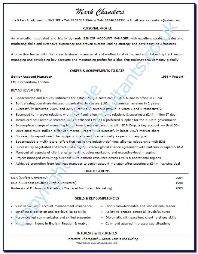 Professional Cv Template Example Professional Cv Template Example