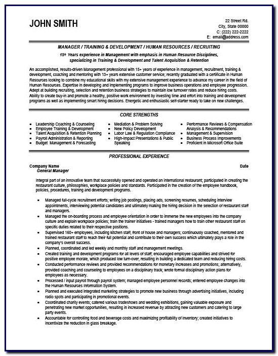 Professional Cv Template For General Manager Professional Cv Template For General Manager