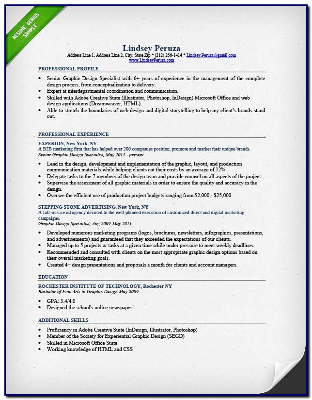Professional Cv Template For Graphic Designer Professional Cv Template For Graphic Designer
