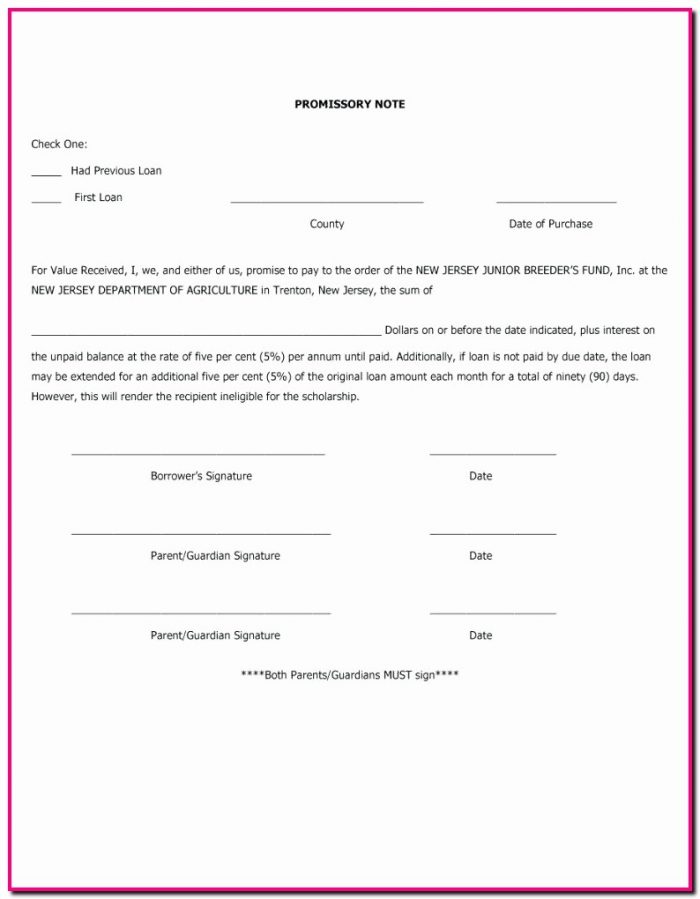 Promissory Note Template Ireland Promissory Note Template Ireland