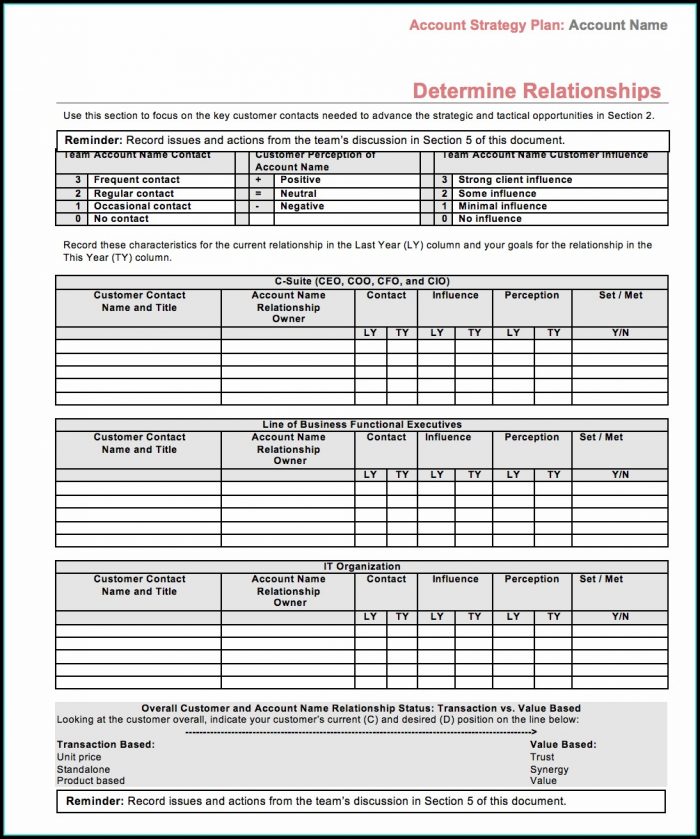Strategic Account Management Plan Template Strategic Account Management Plan Template