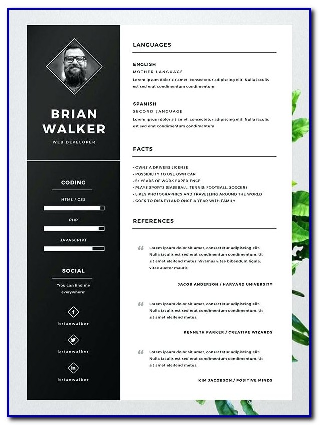 Best Free Resume Templates Microsoft Word Best Free Resume Templates Microsoft Word